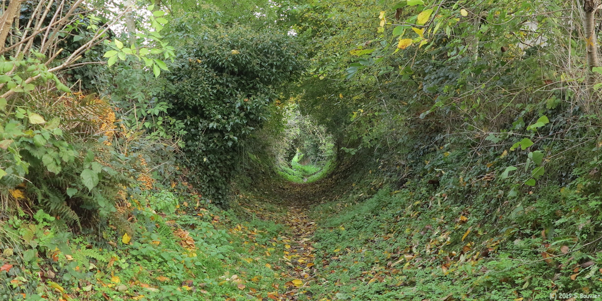 Thil-Manneville (Chemin)