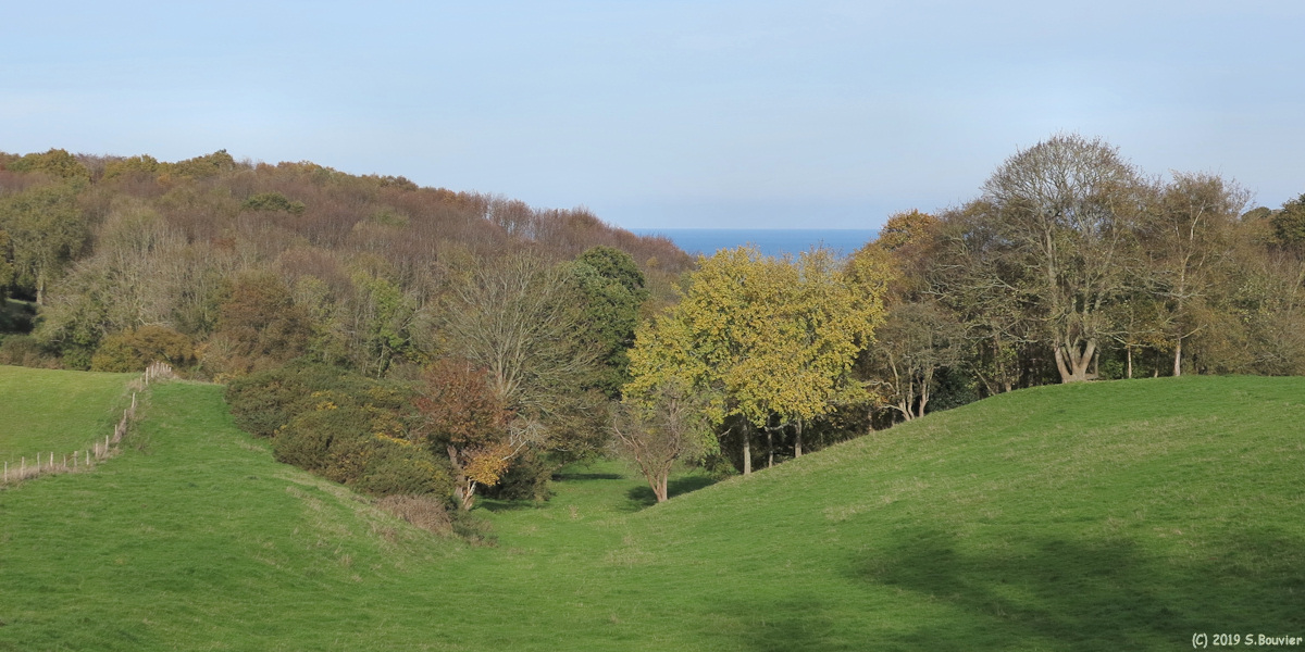 Varengeville sur Mer (Valleuse)