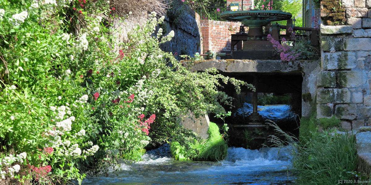 Veules les Roses (Veules 3)