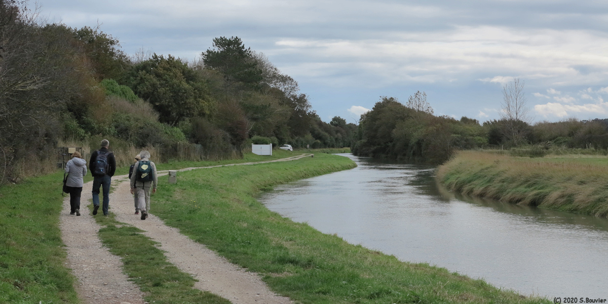 Sainte Marguerite sur Mer (Chemin 2)