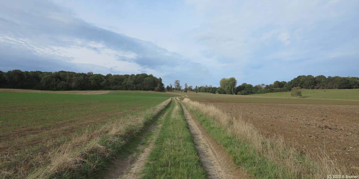 Sainte Marguerite sur Mer (Chemin 3)