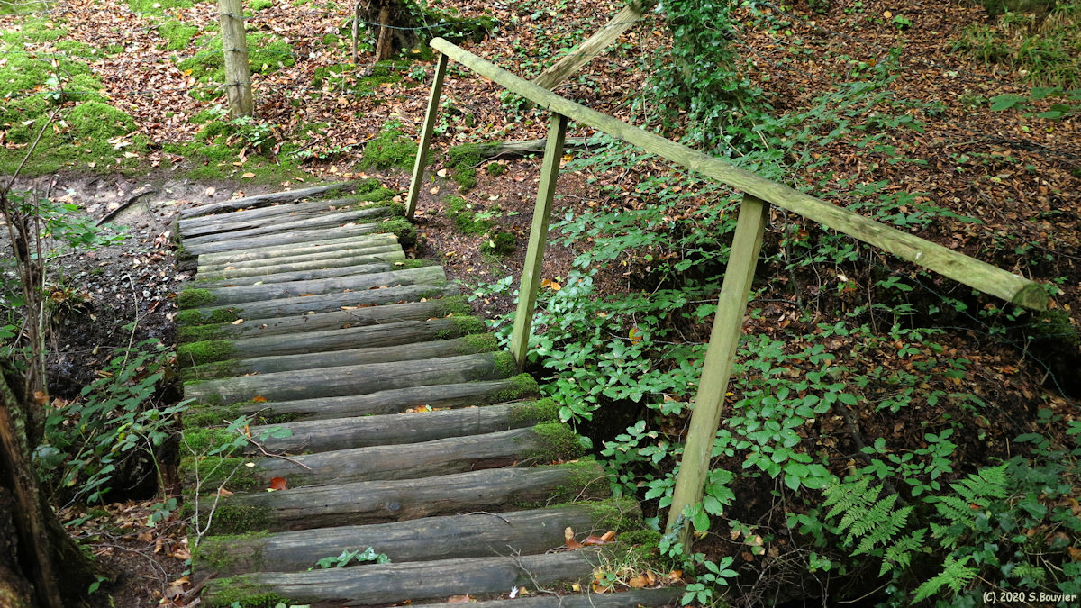 Varengeville sur Mer (Passerelle)