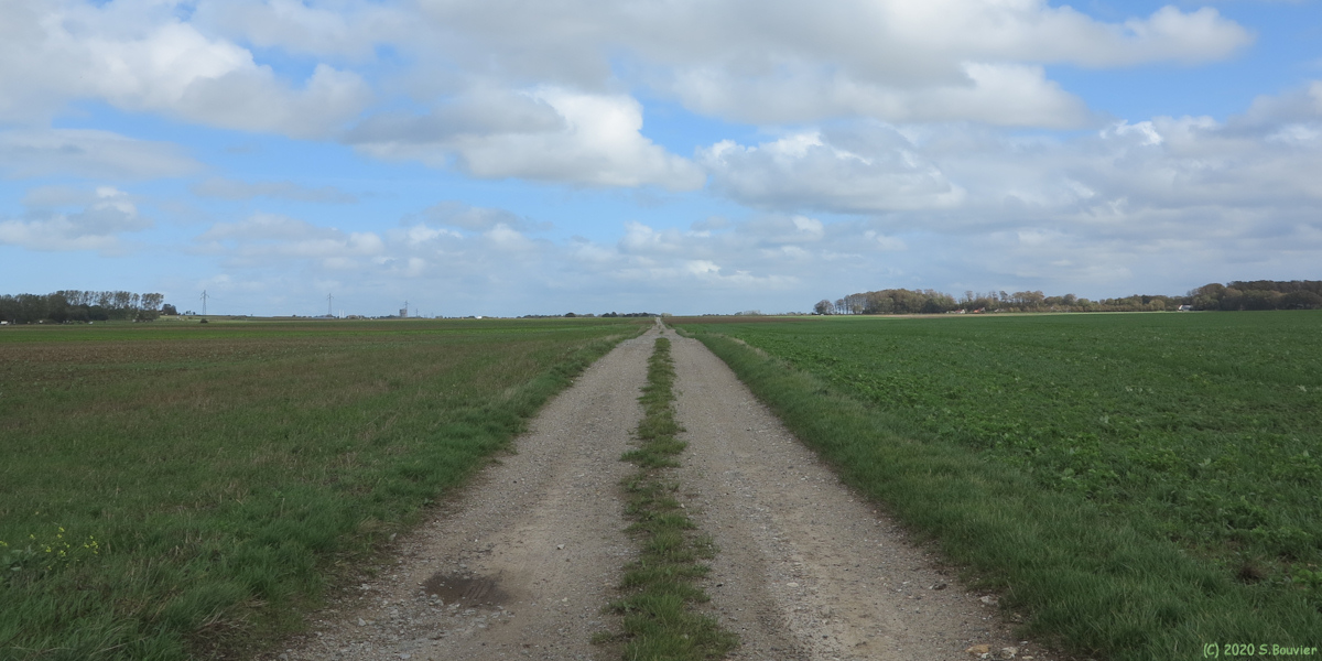 Offranville (Chemin 1)