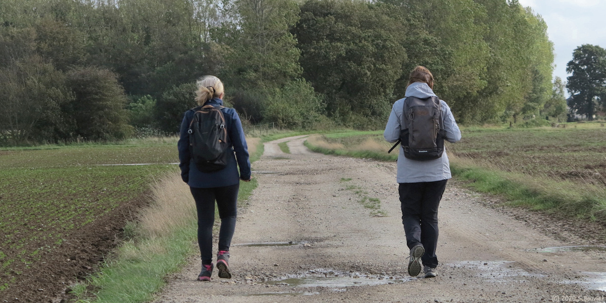 Offranville (Chemin 2)