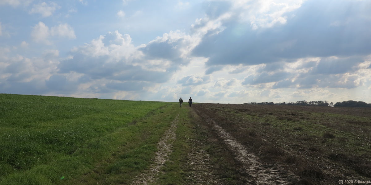 Brachy (Chemin)