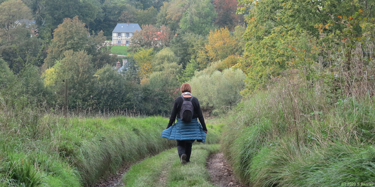 Bacqueville en Caux (Chemin)