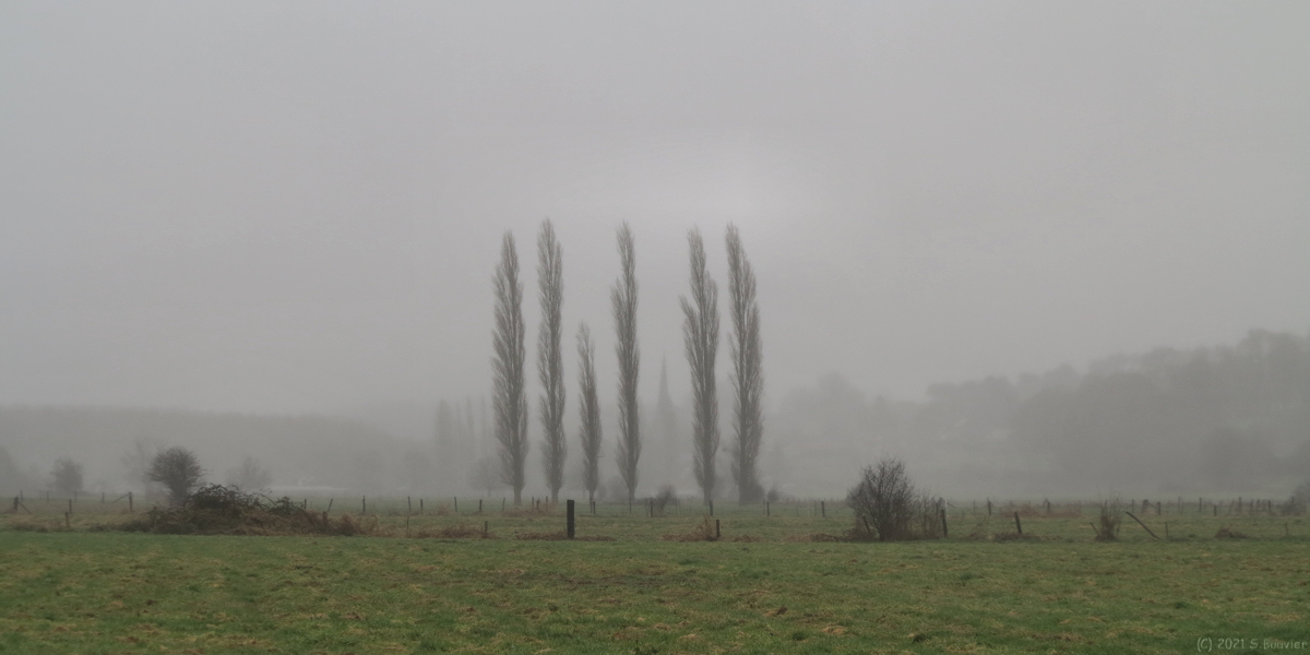 Meulers (Peupliers)