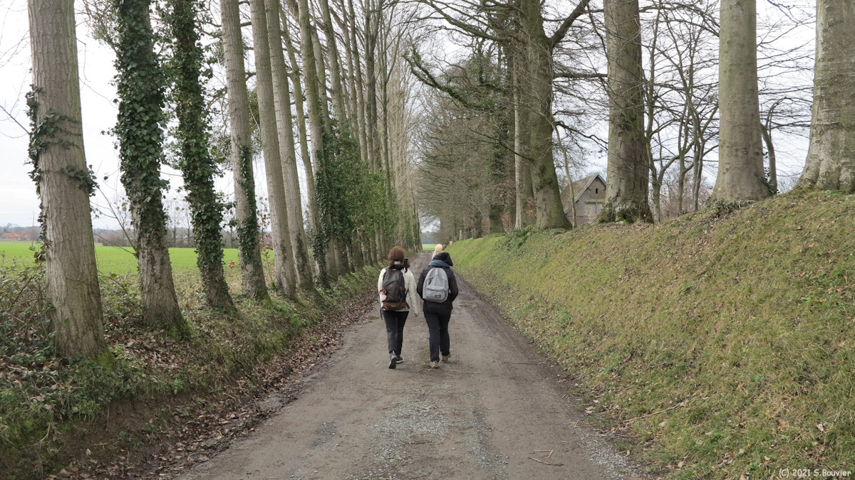 Bertreville Saint Ouen (Chemin)