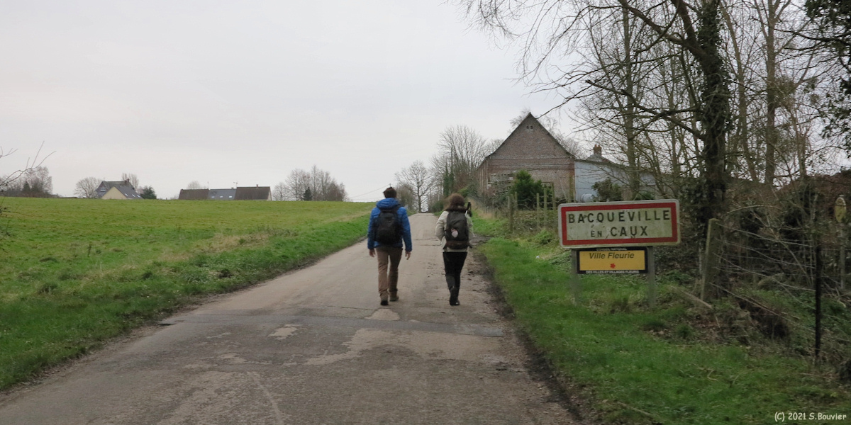 Bacqueville en Caux (Route)