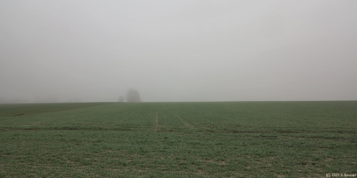 Veules les Roses (Plaine)