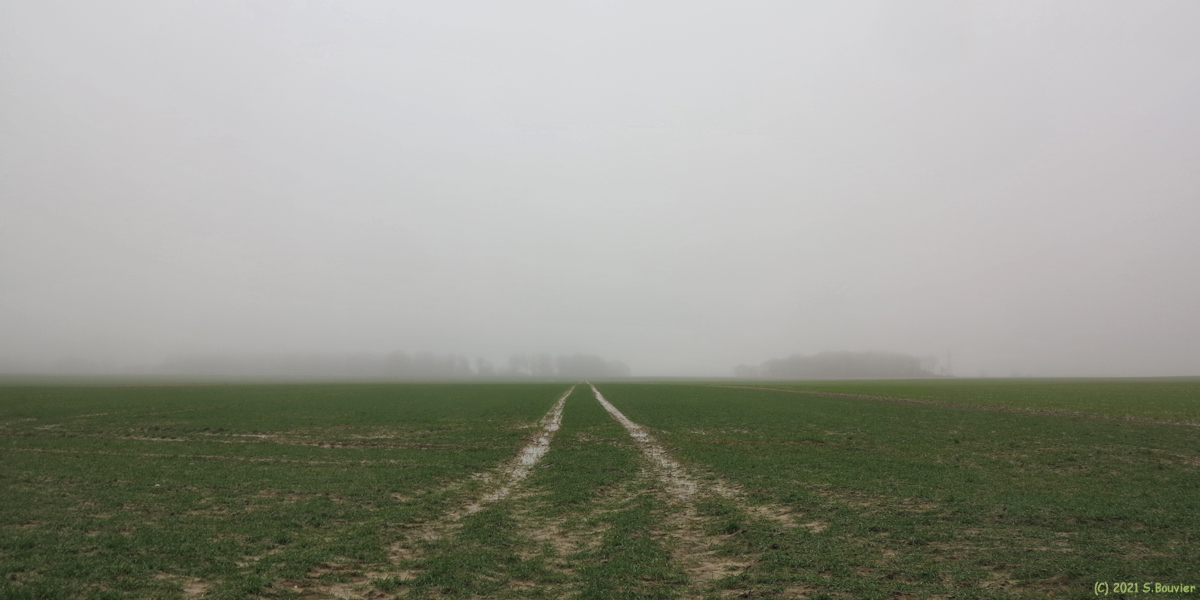La Chapelle sur dun (Plaine)