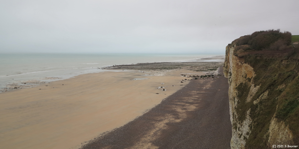 Sotteville sur Mer (Estran)