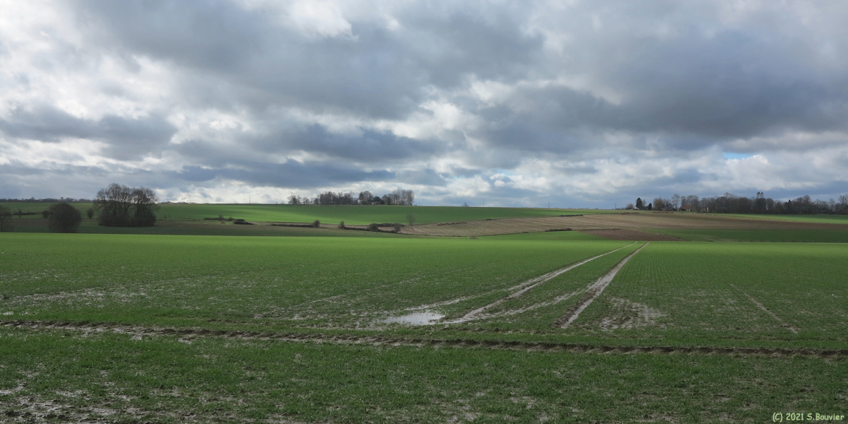 Royville (Plaine)