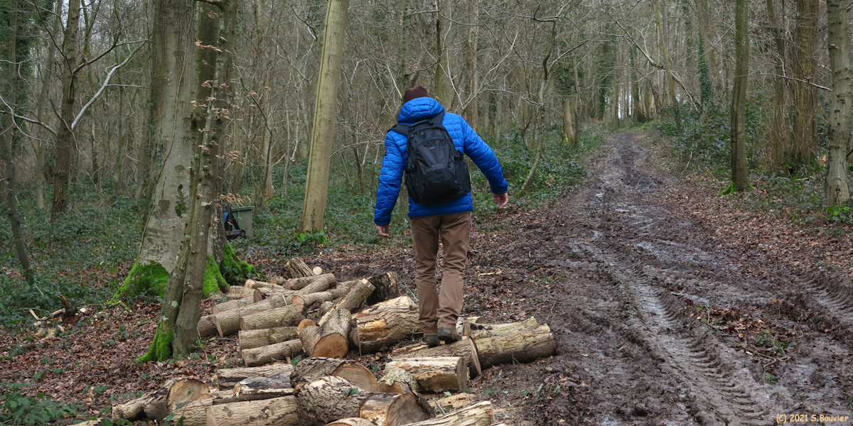 Royville (Chemin 2)