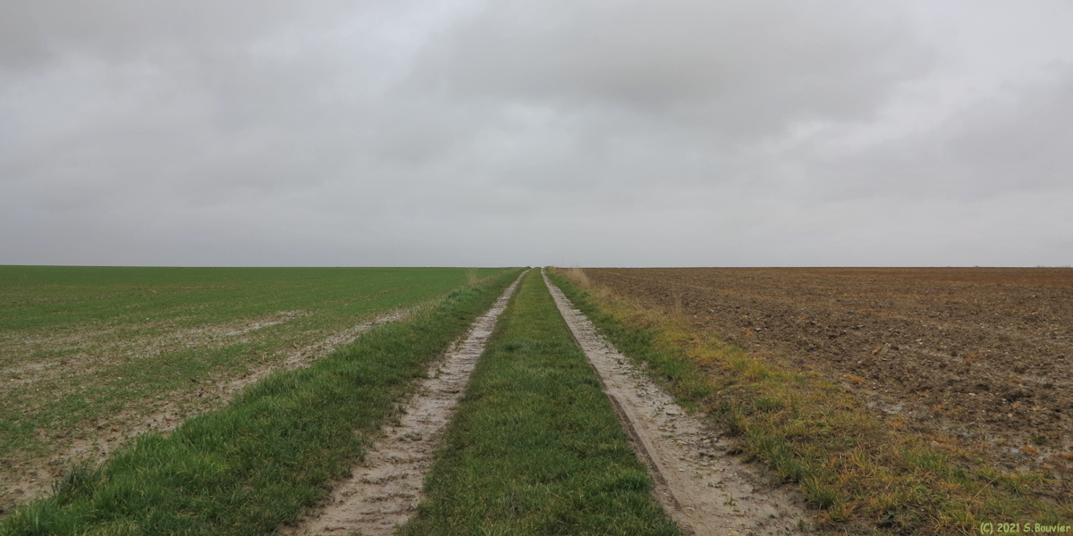 Royville (Chemin 3)