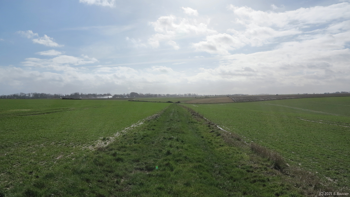 Saint Pierre le Vieux (Chemin 1)