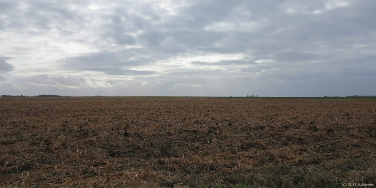 St Pierre le Viger (Plaine 1)