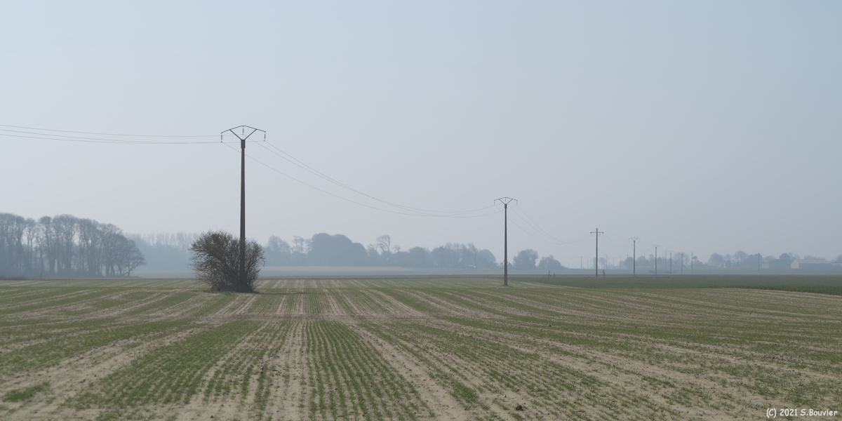 Auberville la Manuel (Ligne électrique)