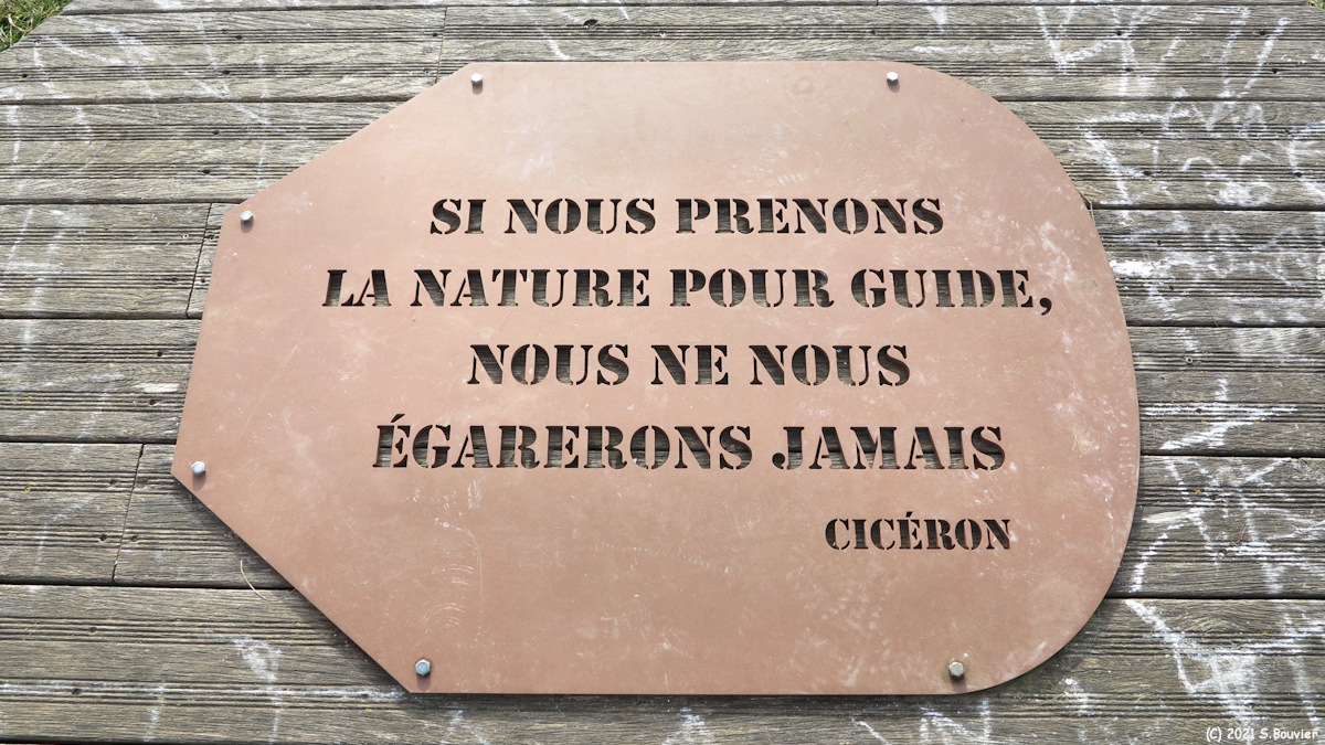 Paluel (Citation)