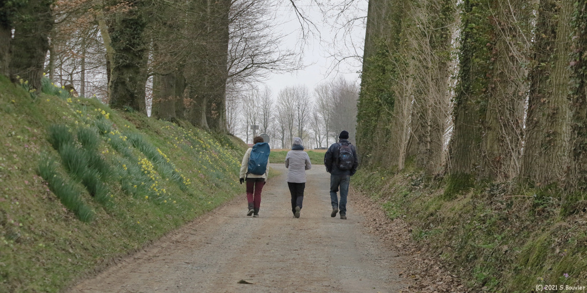 Bertreville Saint Ouen (Chemin)