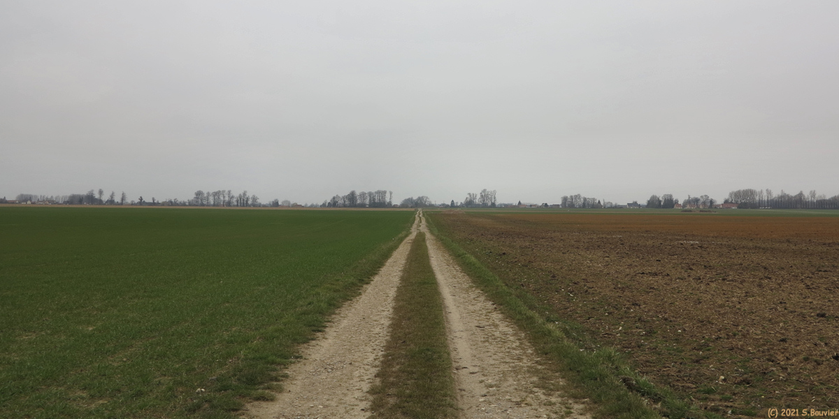 Auppegard (Chemin)