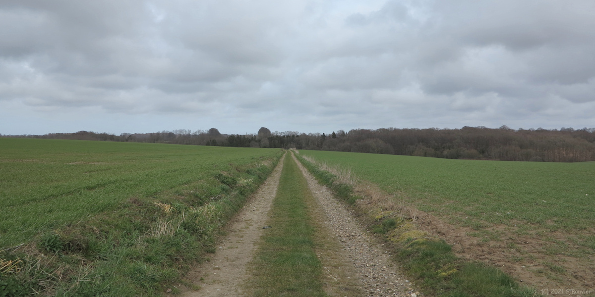 Routes (Chemin)