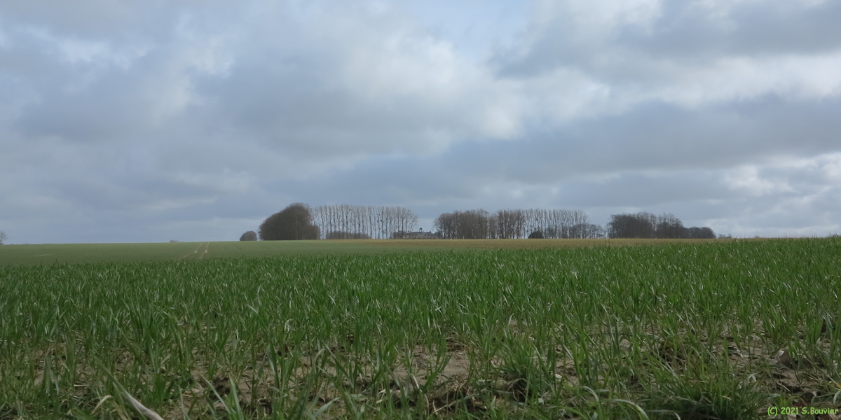 Doudeville (Plaine, Château 1)