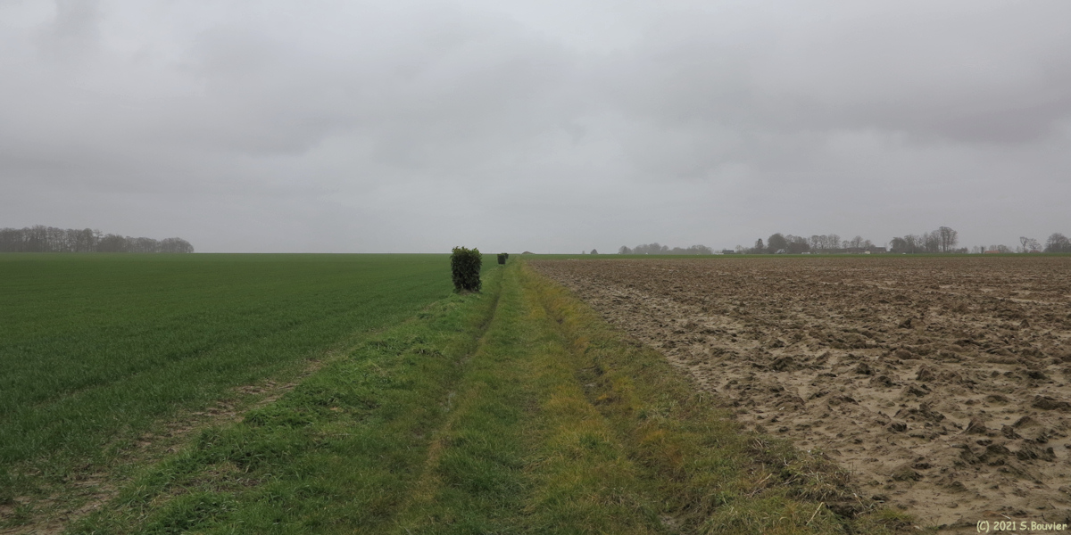 Colmesnil-Manneville (Chemin 2)
