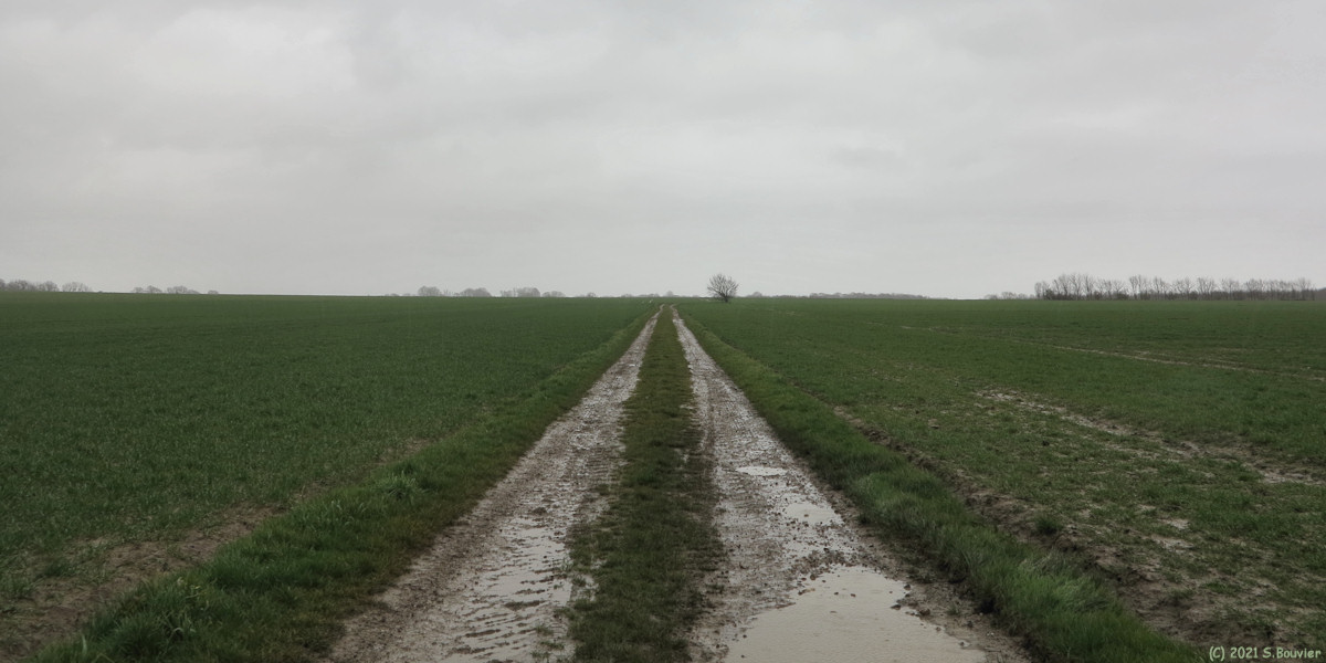Auppegard (Plaine du Vignot)