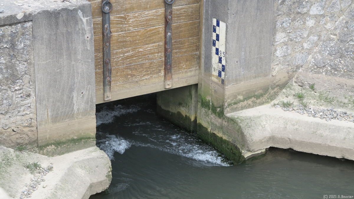 Hautot sur Mer (Buse)