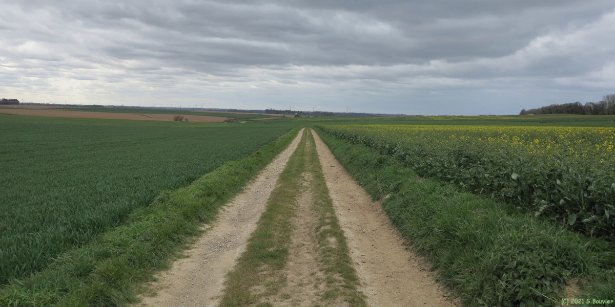 Varengevillle sur Mer (Chemin)
