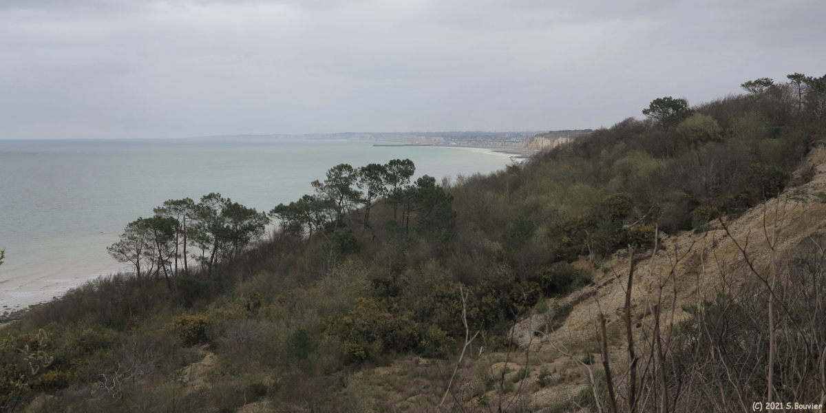 Varengeville sur Mer (Vue 1)