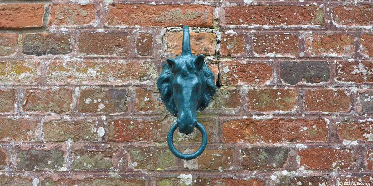 Varengeville sur Mer (Licorne)