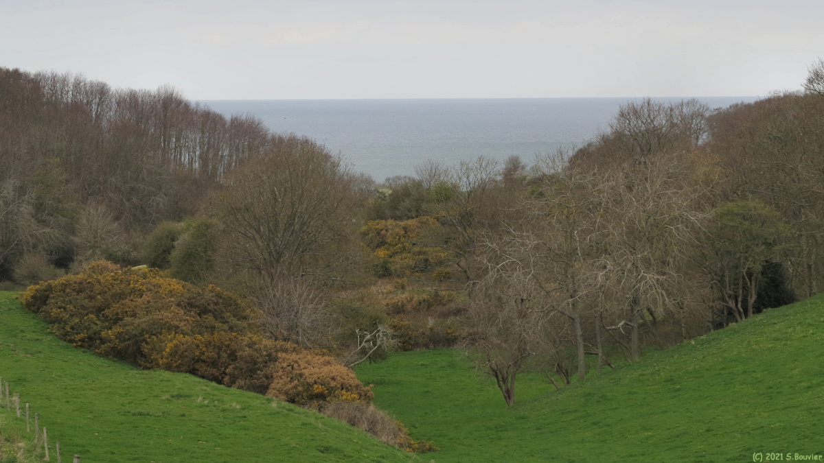 Varengeville sur Mer (Valleuse)