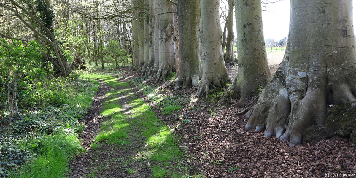Offranville (Chemin)