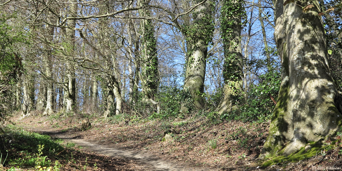 Saint Aubin sur Scie (Chemin)