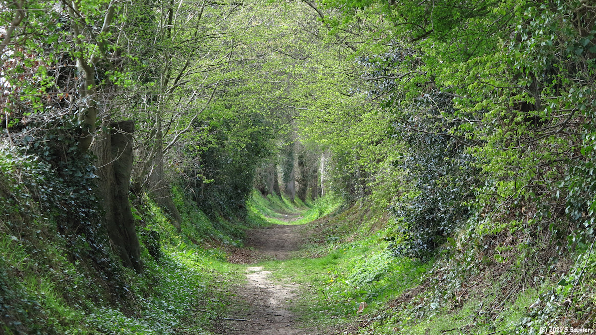 Grèges (Chemin 1)
