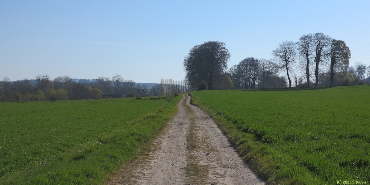 Martin-Eglise (Chemin 1)