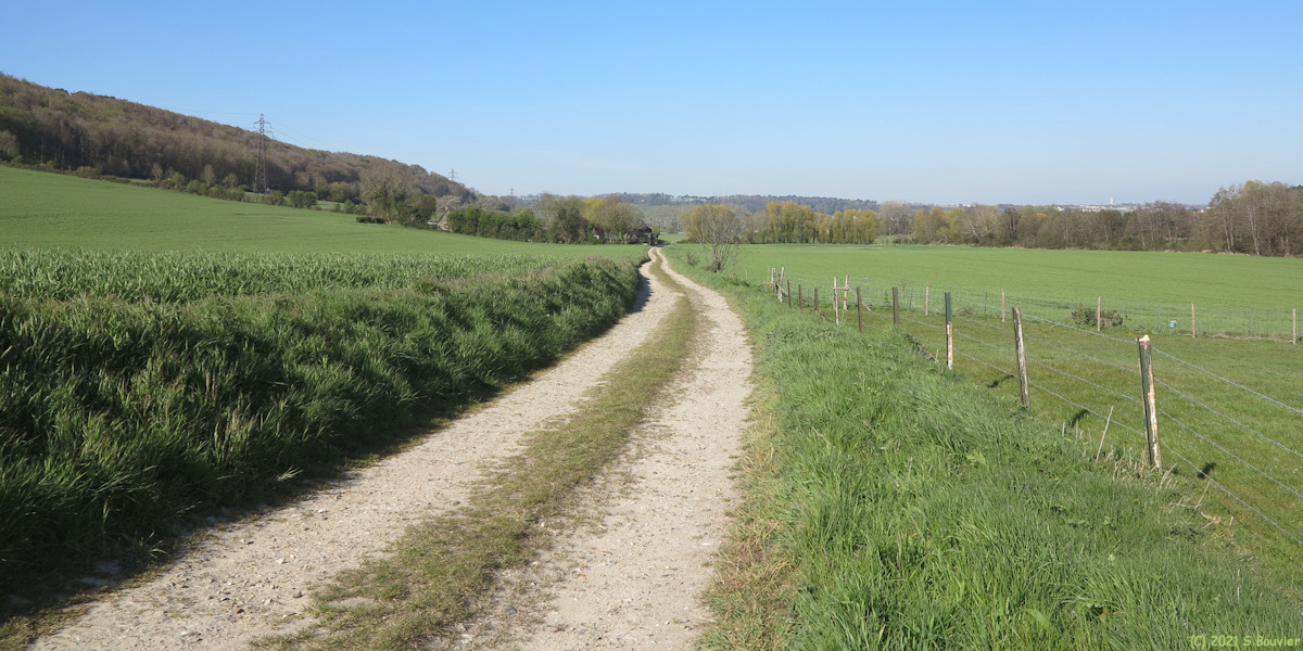 Martin-Eglise (Chemin 2)