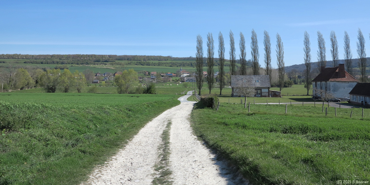 Sauchay (Chemin)