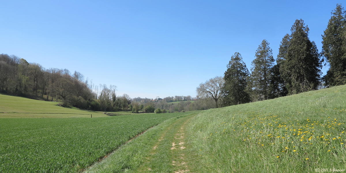 Derchigny (Chemin 1)