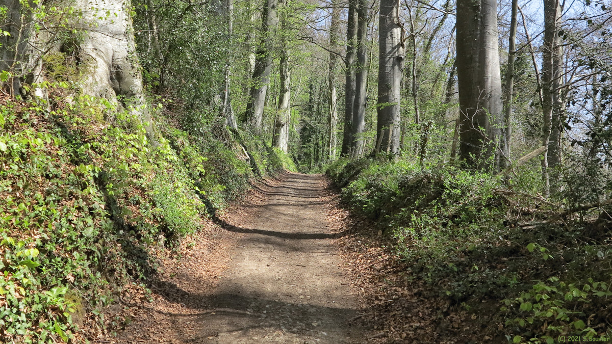 Derchigny (Chemin 2)