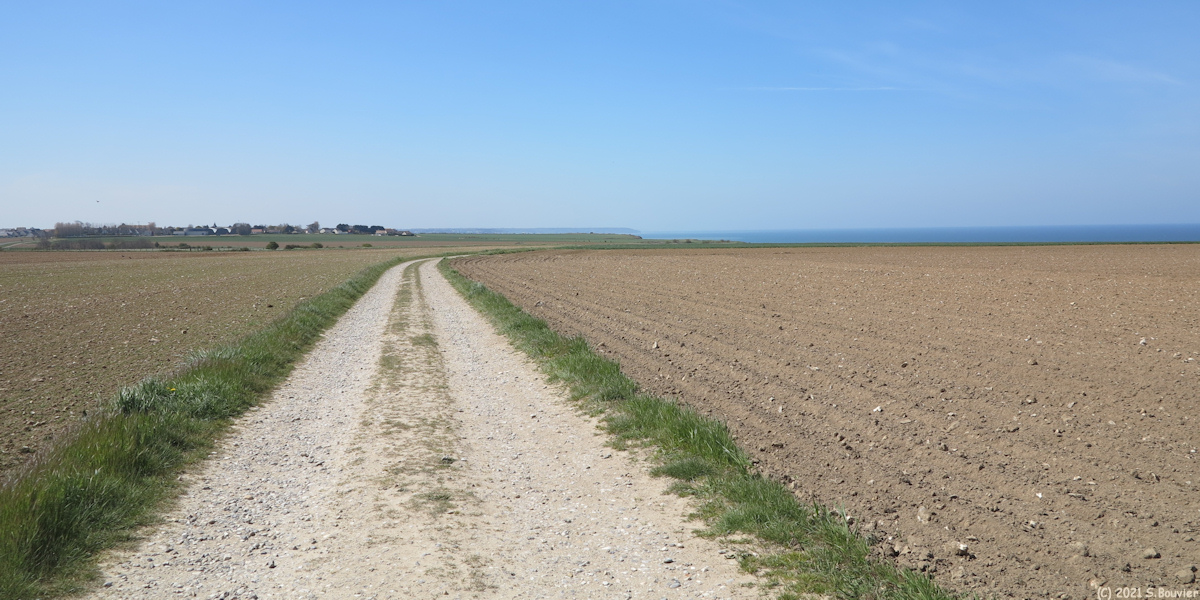 Berneval le Grand (Chemin)