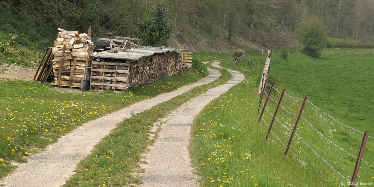 Offranville (Chemin)