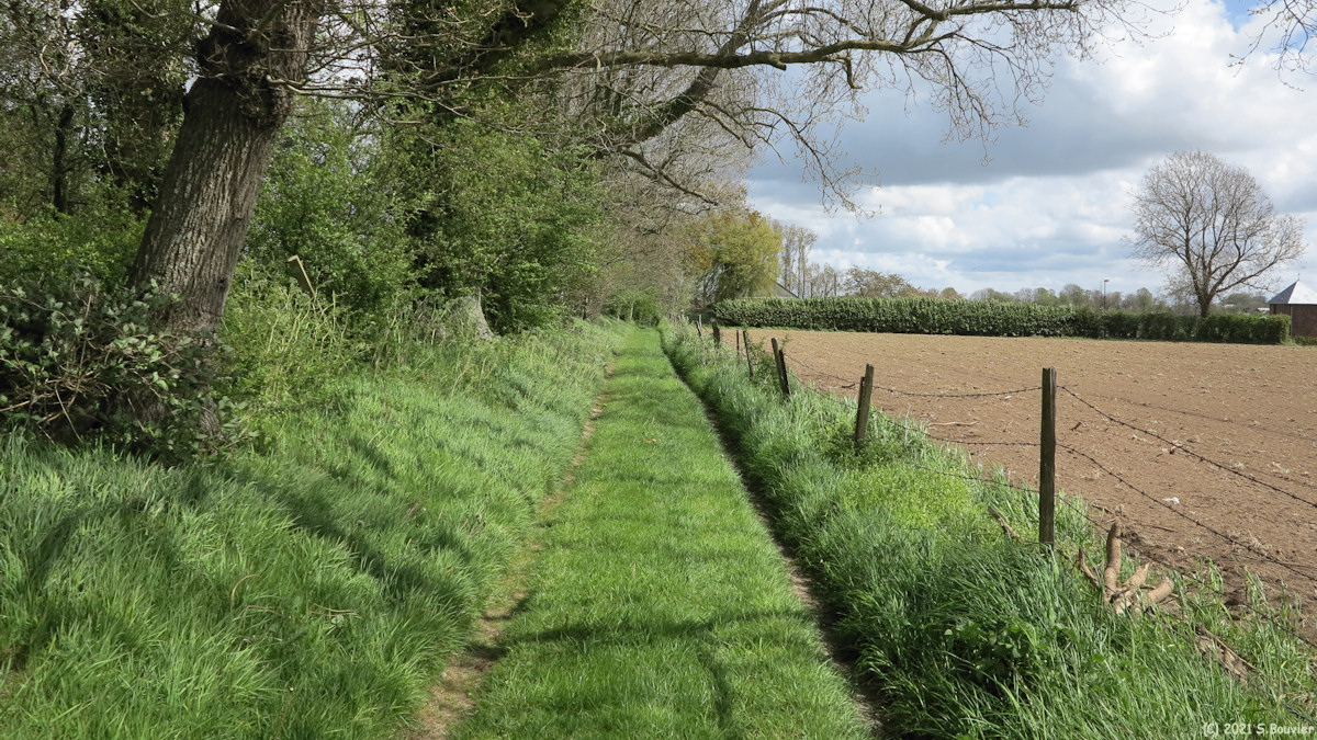 Sassetot le Malgardé (Chemin 1)