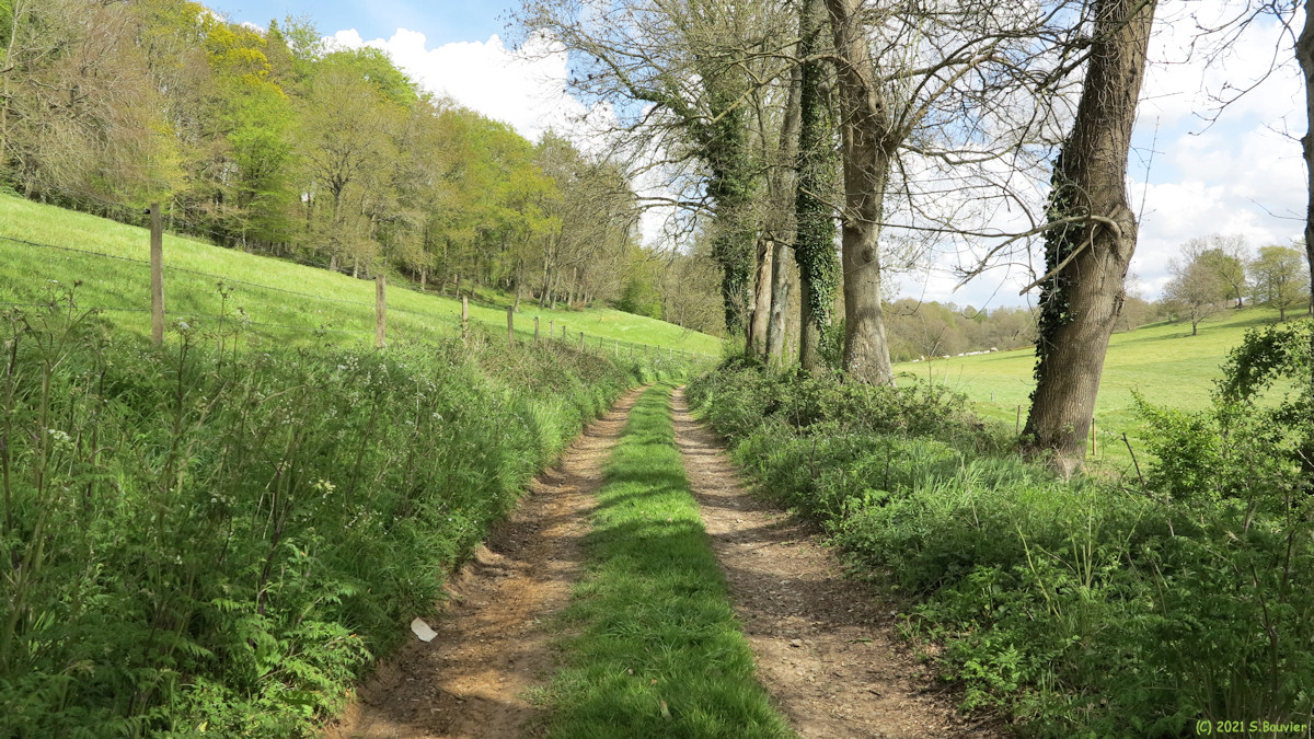 Sassetot le Malgardé (Chemin 2)