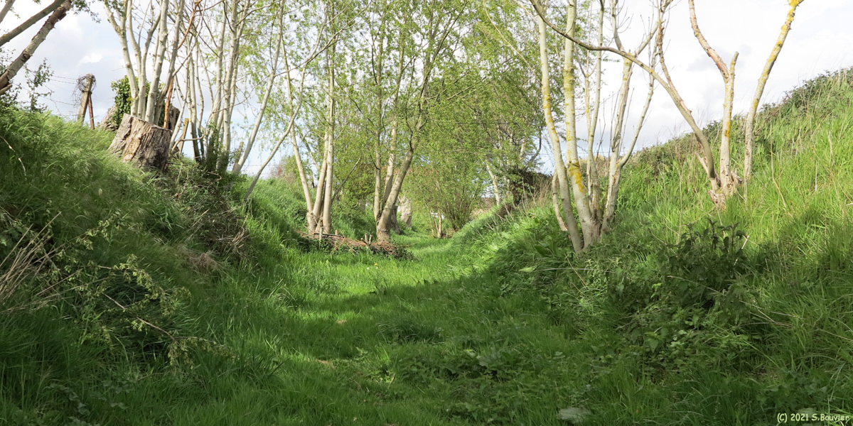 Greuville (Chemin)