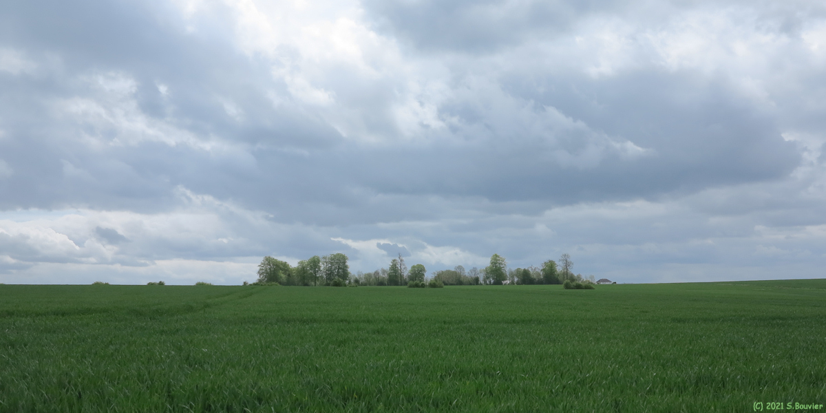 Cropus (Plaine)