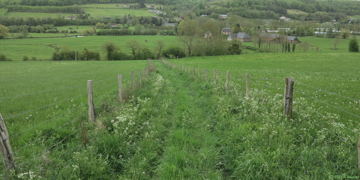 Saint Hellier (Chemin)