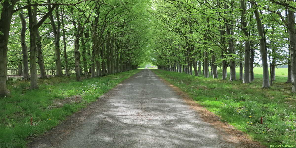 Les Cent Acres (Chemin)